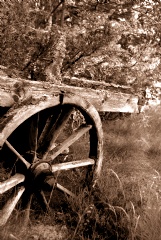 Bildgalleriets omslag&nbsp;