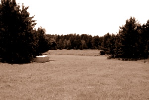 Bildgalleriets omslag&nbsp;