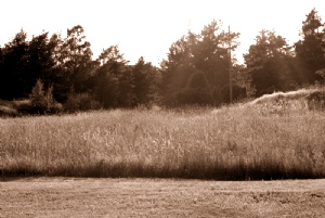 Bildgalleriets omslag&nbsp;