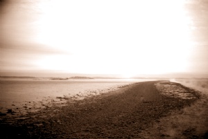 Bildgalleriets omslag 