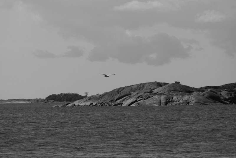 foto: matilda enqvist